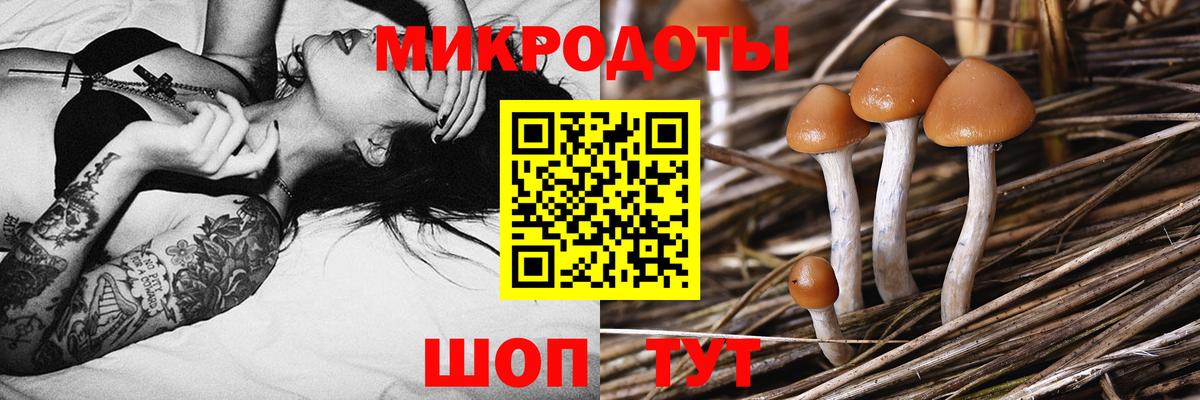 Галлюциногенные грибы GOLDEN TEACHER  Вход с VPN  Галлюциногенные грибы Psilocybe  Ипатово 